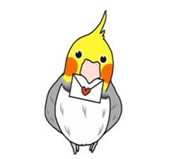 Pretty Mr,cockatiel sticker #8675901