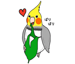 Pretty Mr,cockatiel sticker #8675902