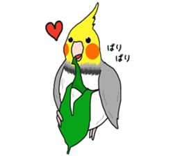 Pretty Mr,cockatiel sticker #8675902