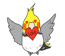 Pretty Mr,cockatiel sticker #8675903