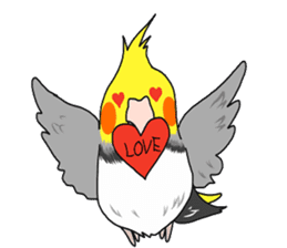 Pretty Mr,cockatiel sticker #8675903