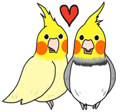 Pretty Mr,cockatiel sticker #8675904