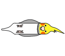 Pretty Mr,cockatiel sticker #8675905