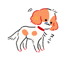 Winter of Cavalier "Kewpie" sticker #8676306