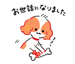 Winter of Cavalier "Kewpie" sticker #8676320