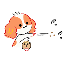 Winter of Cavalier "Kewpie" sticker #8676345