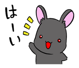 black rabbit in amami sticker #8679308
