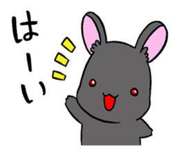black rabbit in amami sticker #8679308