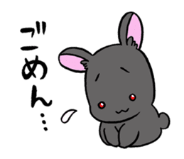 black rabbit in amami sticker #8679311