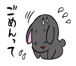 black rabbit in amami sticker #8679312