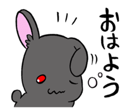 black rabbit in amami sticker #8679313