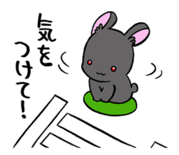 black rabbit in amami sticker #8679317