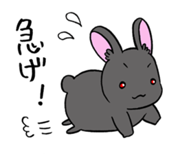 black rabbit in amami sticker #8679318