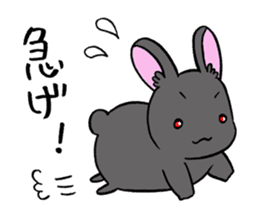 black rabbit in amami sticker #8679318