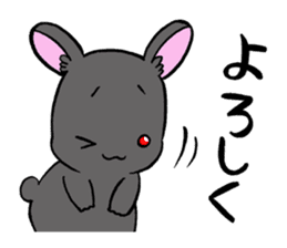 black rabbit in amami sticker #8679324