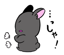 black rabbit in amami sticker #8679326
