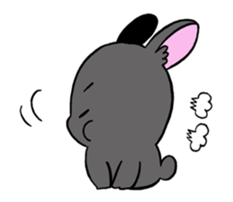 black rabbit in amami sticker #8679334