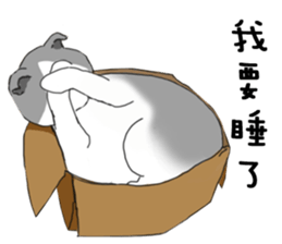 mao say sticker #8683867