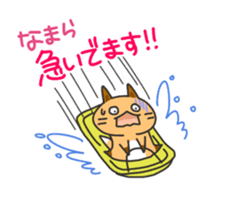 Hokkaido dialect Sticker "Kitsuneko" 4th sticker #8688228
