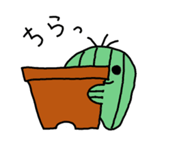 Daily Sabo-kun sticker #8689027