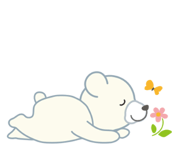 Little bear "WHITY" #2 sticker #8690158