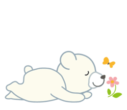 Little bear "WHITY" #2 sticker #8690158