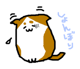 kawaii cats and chick sticker #8694427