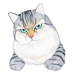 MaineCoon Sticker