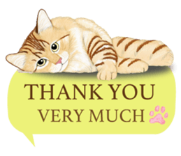 MaineCoon Sticker sticker #8695364