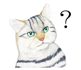 MaineCoon Sticker sticker #8695366