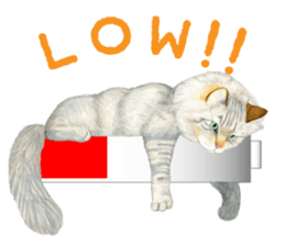 MaineCoon Sticker sticker #8695371