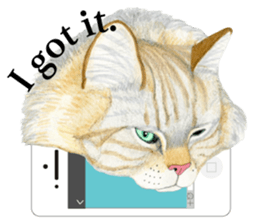 MaineCoon Sticker sticker #8695374