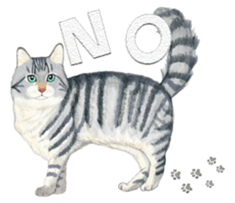 MaineCoon Sticker sticker #8695383