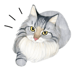 MaineCoon Sticker sticker #8695388