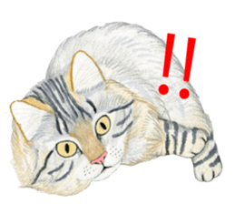 MaineCoon Sticker sticker #8695390