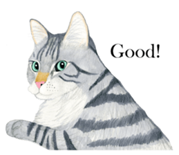 MaineCoon Sticker sticker #8695394