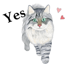 MaineCoon Sticker sticker #8695395