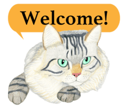 MaineCoon Sticker sticker #8695400