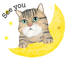 MaineCoon Sticker sticker #8695401