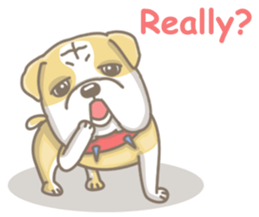 Ace the English Bulldog sticker #8695886