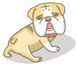 Ace the English Bulldog sticker #8695907