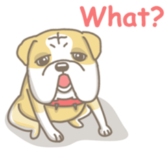 Ace the English Bulldog sticker #8695911