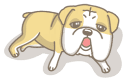 Ace the English Bulldog sticker #8695919