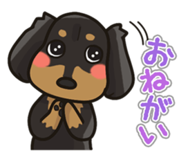 I Love Dachshund (Black Tan) sticker #8698604