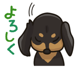 I Love Dachshund (Black Tan) sticker #8698605