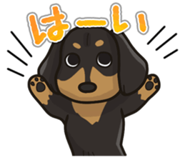 I Love Dachshund (Black Tan) sticker #8698606