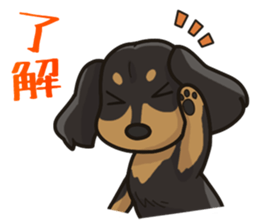 I Love Dachshund (Black Tan) sticker #8698608