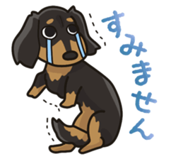 I Love Dachshund (Black Tan) sticker #8698611