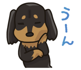 I Love Dachshund (Black Tan) sticker #8698612