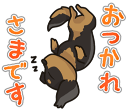 I Love Dachshund (Black Tan) sticker #8698621